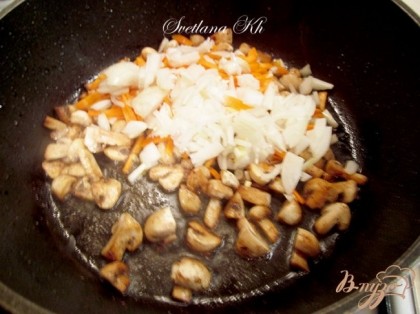 Сначала обжарить грибы на растительном масле. Затем добавить к ним лук и морковь. Слегка поджарить грибы с овощами, добавить томатную пасту. Залить бульоном или кипяченой водой . Посолить, положить любимые специи, сахар. Оставить на огне 3-4 минуты.