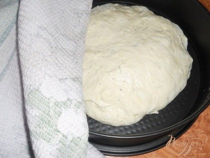 Теперь ложкой перемешиваем тесто, чтобы оно осело, перекладываем в форму, накрываем пленкой или полотенцем и ждем, когда тесто увеличится втрое в объеме.