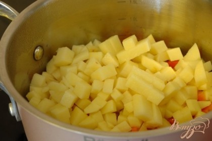 В 2-х литровую кастрюльку налить растительное масло, обжарить слегка нарезанные лук и морковь. Добавить сверху очищенный и нарезанный кубиками картофель.