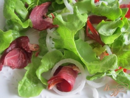 По тарелкам разложить листья зеленого салата, нарезку утиной грудки и колечки лука.