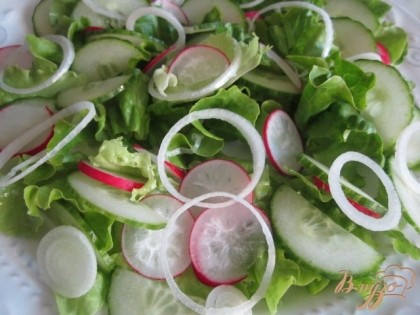 По тарелкам разложить листья салата, нарезанный редис, огурец и репчатый лук