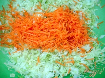 К капусте добавляем натёртую морковь.