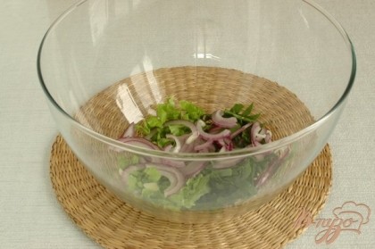 Тщательно вымытые листочки салата и шпината нарезать полосками. Красный лук - тонкими полукольцами. Сложить в салатник.