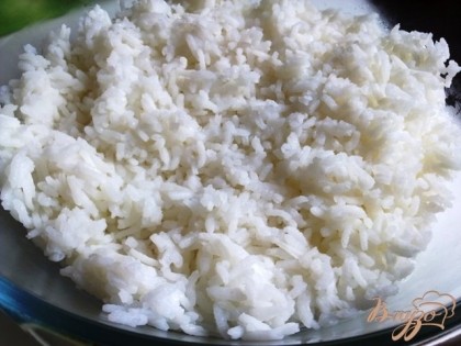 Выкладываем рис