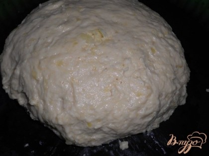 Всыпать остальную муку, добавить масло растительное и замесить тесто, поместить в форму.
