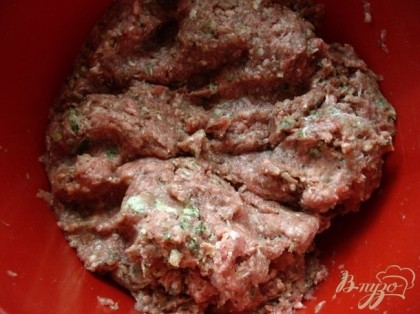 Прокрутила мясо свинина+говядина+сало+лук+чеснок в мясорубке.Посолила,поперчила Отбила фарш.