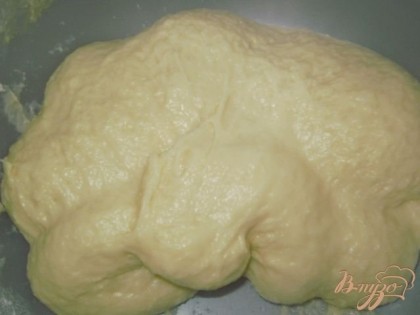В теплом молоке растворяем сахар и дрожжи, добавляем яйца взбитые с солью, растопленный маргарин, муку и замешиваем тесто. Оставляем тесто на 1,5-2 часа в теплом месте для того, чтобы оно хорошо поднялось.