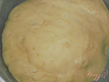Добавляем муку, замешиваем мягкое тесто. На 1-2 часа оставляем тесто в теплом месте, для того чтобы оно увеличилось в 2-3 раза.
