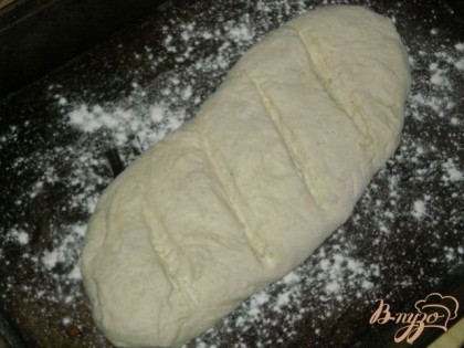 Противень немного присыпаем мукой, выкладываем на него хлеб и выпекаем в духовке 25 мин при 200 градусах.