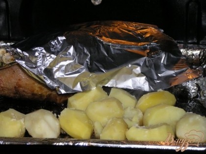 Выложить картофель на противень к гусю, полить жиром, скопившимся в противне, прикрыть гуся фольгой, чтобы он не подгорел, и продолжать запекать все вместе еще 20 минут.