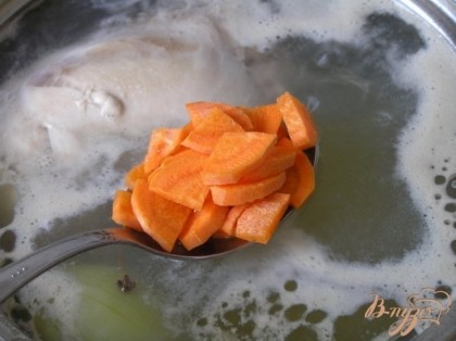 добавить нарезанную морковь, варить еще 5-7 минут, затем луковицу вынуть.