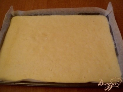 Форму ( 21х35см) застелить бумагой для выпечки, смазать маслом, вылить тесто. Выпекать при температуре 180 градусов 15мин.