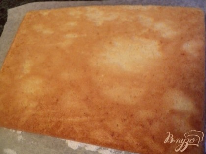 Готовый бисквит перевернуть на лист бумага для выпечки, посыпанный сахарной пудрой, снять лист бумаги, на котором он выпекался, охладить.