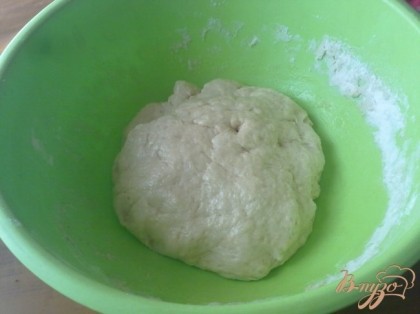 В подошедшую опару добавить остальную муку, соль, масло. Вымесить тесто. Поставить его на расстойку.