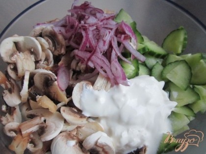 В салатник выложить грибы, нарезанный огурец, лук.Приправить сметаной. На мой вкус хорошо подойдет 30 %.
