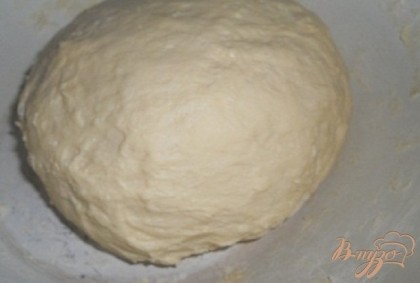 Вымесить тесто, смазать немножко растительным маслом и поставить на расстойку в теплое место на 45 минут, сверху накрыть полотенцем.