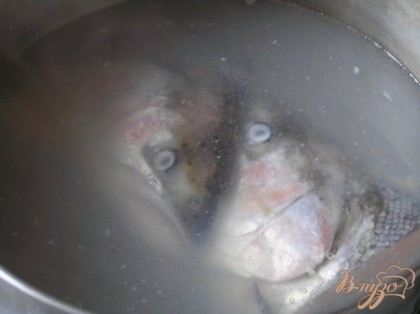 Рыбу промыть, положить в кастрюлю, залить водой (около 2х л). Довести до кипения, варить 30 минут.