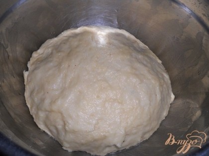 Добавить масло 2 ст. л. и кориандр, перемешать, начать всыпать частями муку и замесить тесто,сверху тесто смазать растительным маслом, вымешивать 3-4 минуты,оставить на подход на 45 минут.