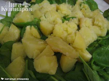 Остывший отварной картофель нарезать кубиками или дольками (в этом салате нет единого способа нарезки, поэтому можно нарезать, как нравится ). Выкладываем картофель на любую подушку из зелени, слегка поливаем 2 столовыми ложками лимонного сока