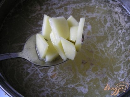 В кипящий бульон добавить нарезанный картофель, варить 10 минут.