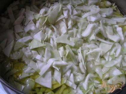 Затем добавить нашинкованную капусту (если любите мягкую; но если Вы любите хрустящую, кладите её позже),
