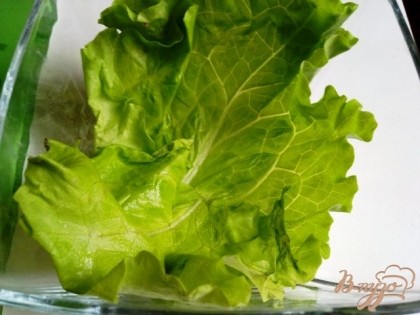 На дно салатника выкладываем два листика зеленого салата.
