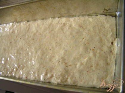 Выложить тесто в форму для выпечки, смазанную маслом. Сверху тесто также смазать маслом, накрыть пищевой пленкой и поставить в теплое место на 2,5-3 часа.