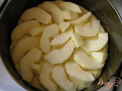 Форму смазать маслом или выстелить бумагой для выпечки. Выложить половину теста. Яблоки очистить, нарезать дольками, разложить на тесто. Сверху выложить оставшееся тесто.