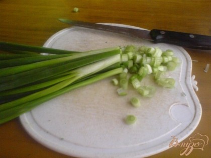 Зелёный лук вымыть, обсушить и нарезать колечками.
