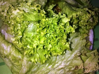 Моем зеленый салат