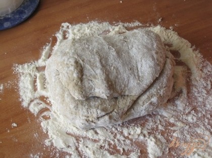 В готовую опару добавить соль, масло и постепенно просеянную пшеничную муку. Не надо стараться использовать всю муку, тесто должно быть нежным, не плотным.