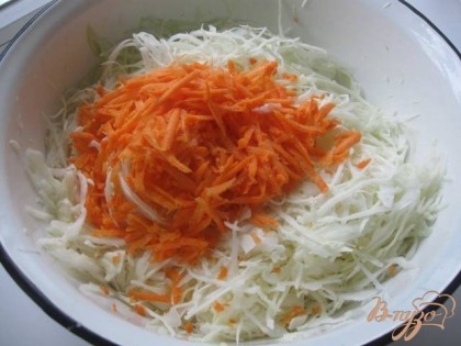 Морковь трем на терке, кладем к капусте и разминаем все хорошо руками, чтоб капуста пустила сок.