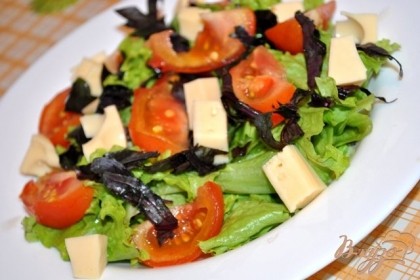Сыр моцарела  нарежте крупными кубиками. Выложите сверху на салат.