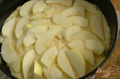  Вылить тесто в форму, смазанную маслом или застеленную пергаментной бумагой. Выложить ломтики яблок.Засыпать крошку поверх яблок. Выпекать 45 минут при 170-180 градусах.Дать полностью остыть.