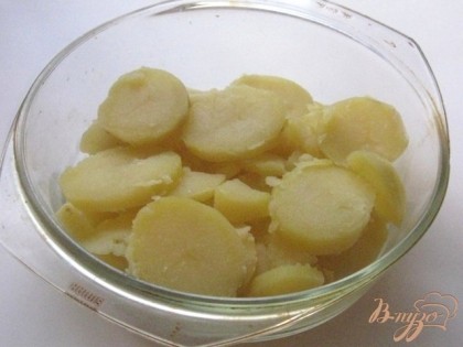 Отварной картофель выкладываем кружочками или кусочками в форму для выпекания.