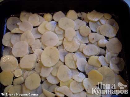В форму тонким слоем выложить картофель (смазывать форму уже не обязательно, так как картошка с маслом).