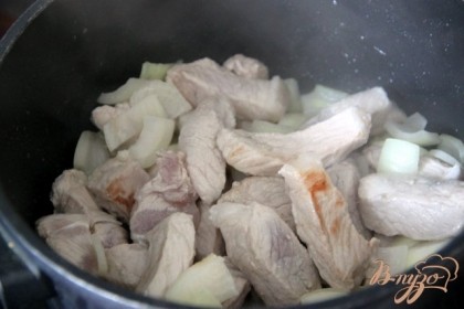 Свинину нарезать небольшими кусочками и поджарить вместе с крупно нарезанным луком до румяности на растительном масле.