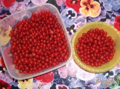 Берем промытые ягоды красной смородины. Отделяем небольшую часть и откладываем ее в сторону.