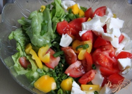 Порвать салат крупными кусочками. Добавить крупно порезанные овощи и моцареллу.