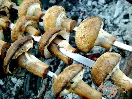 Запечь над углями, всё время переворачивая, так как они готовятся быстро. Запекать грибы нужно по своему вкусу, кто как любит - до мягкости или, наоборот, делать позажарестее.