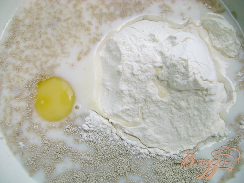 Молоко комнатной температуры, муку, половину сахара и сухие дрожжи, яйцо и соль – всё соединить и венчиком смешать, чтобы не было комков.