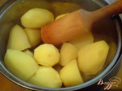 С готового картофеля воду слить, горячий картофель растолочь (или протереть через сито).