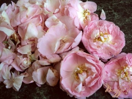 Розу для варенья необходимо собирать утром, когда она особенно ароматна.