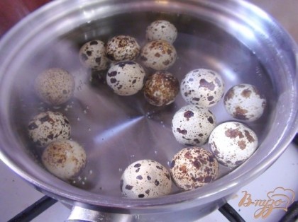 Перепелиные яйца помыть, залить водой и поставить на огонь, варим с момента закипания 5 минут. Остужаем.