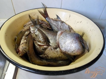 Рыбу тщательно промыть, почистить от чешуи.Складываем в миску, солим, перчим.
