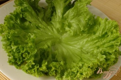 Теперь на плоское блюдо нужно выложить листья свежего салата.