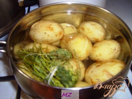 Картофель хорошо вымыть, залить водой и поставить на плиту. Как только вода начнет закипать, добавить соль. Варить примерно 15 минут с момента закипания воды