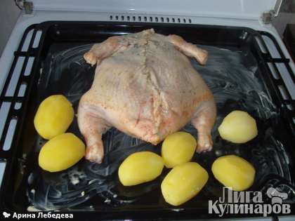 Курицу зашить, выложить на протвень смазанный сливочным маслом. Запекать в духовке 200- 210 градусов примерно 40 минут.