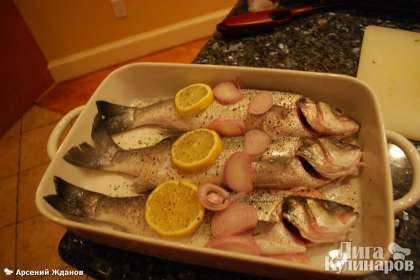 Залить смесью рыбу. Лимон порезать кружочками, луковицу тоже, положить сверху на рыбку, закрыть пленкой посудину и отправить в холодильник мариноваться на несколько часов