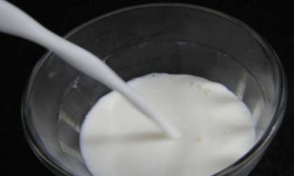 Потом в чашку наливаем 200 грамм молока и отправляем его вместе с мороженым на 10 минут в морозилку. Важно, чтобы продукты не замерзли, а хорошо охладились.